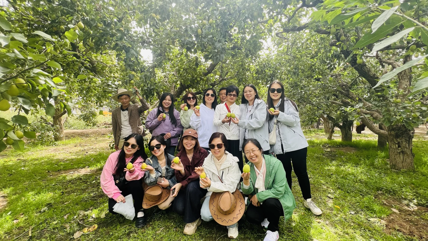 Team visiting a Korla pear orchard in Xinjiang