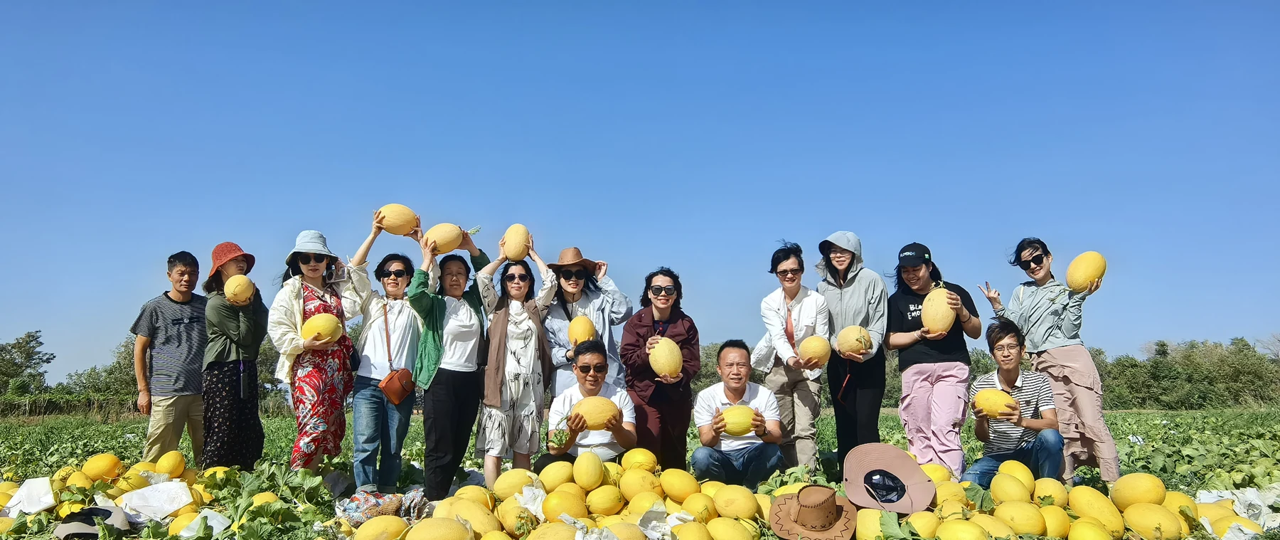 Team visiting a Xinjiang Hami melon growing area