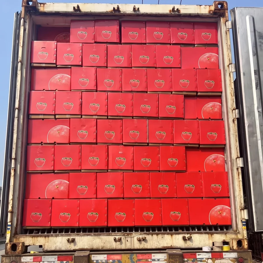 Fuji apple container loading