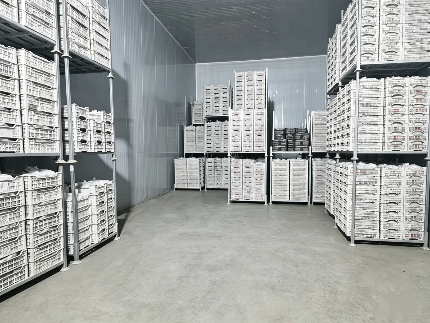 Fruit storage scene from supplied grape materials