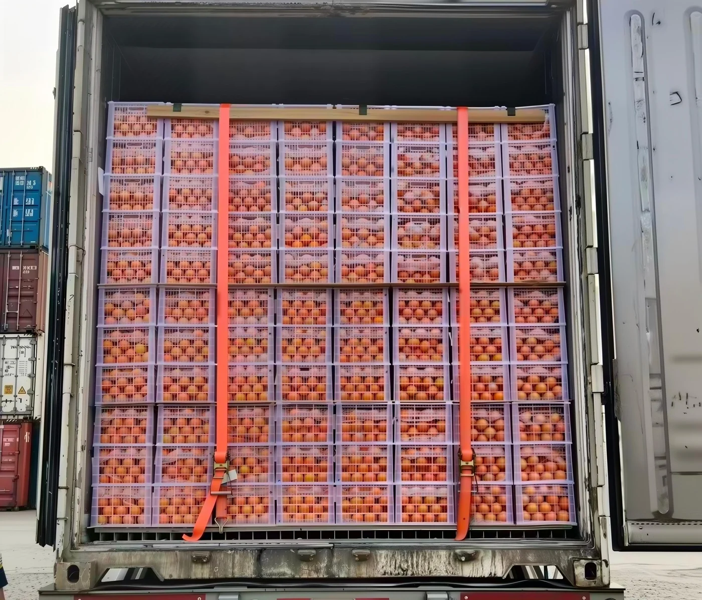Citrus cartons prepared for shipment